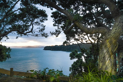 Auckland Clifftop - Tourism Bookings NZ 2