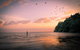Auckland Clifftop - thumb 1