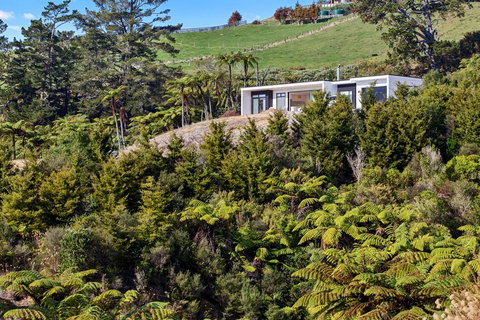 Bay Of Plenty, Tauranga - Tourism Bookings NZ 0