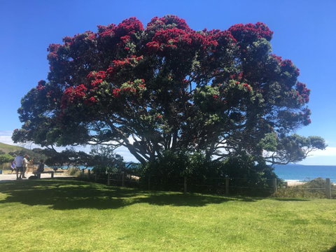 Beach Break Escape - Tourism Bookings NZ 3