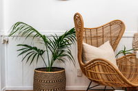 Boho Hill Waiheke Island