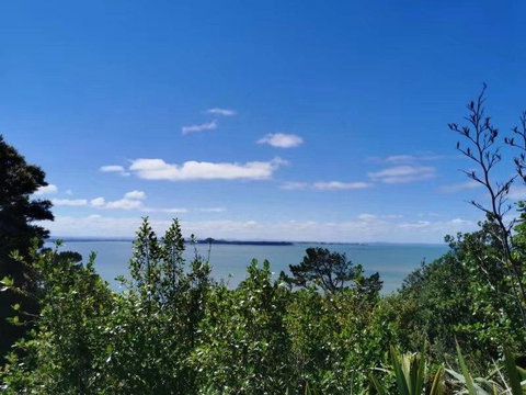 Brand New 5BR Modern Homes With View Of The Bay - Tourism Bookings NZ 1