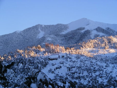 Brattdal - Tourism Bookings NZ 3