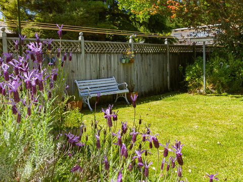 Breachmor - Tauranga Taupo Lakefront Holiday Home - Tourism Bookings NZ 1