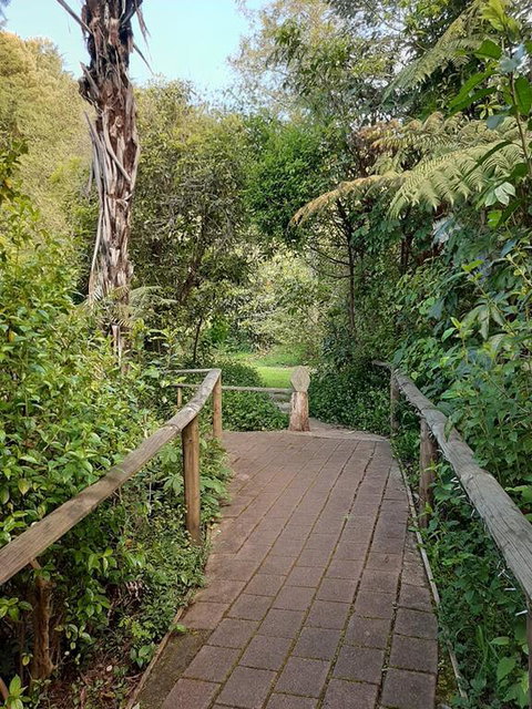Buena Vista Apartment - Tourism Bookings NZ 3