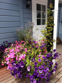 Cabins on Tudor bed  breakfast