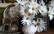 Cabins On Tudor Bed & Breakfast - thumb 1