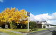 Cambrian Lodge Motel - thumb 1