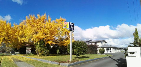 Cambrian Lodge Motel - Tourism Bookings NZ 1