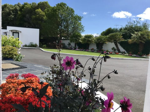 Cascades Motor Lodge - Tourism Bookings NZ 1