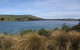 Catlins Lake Sanctuary - thumb 0