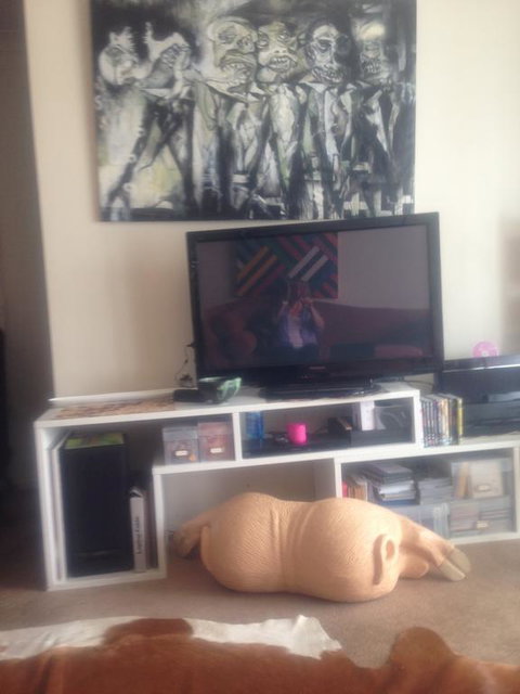 Cool Apartment, Central To Everything, Share With Bulldog - Tourism Bookings NZ 2