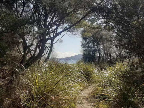 Cosy Cottage Thermal Holiday Park - Tourism Bookings NZ 1