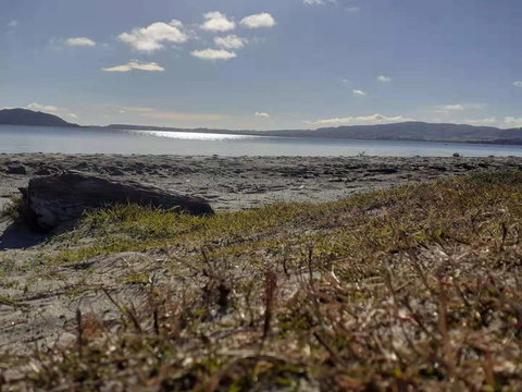 Cosy Cottage Thermal Holiday Park - Tourism Bookings NZ 2