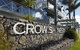 Crow's Nest Apartments - thumb 0