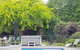Deloraine Stone Cottage - thumb 2