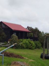 Doubtlessbay relaxed rural stunning sea veiws