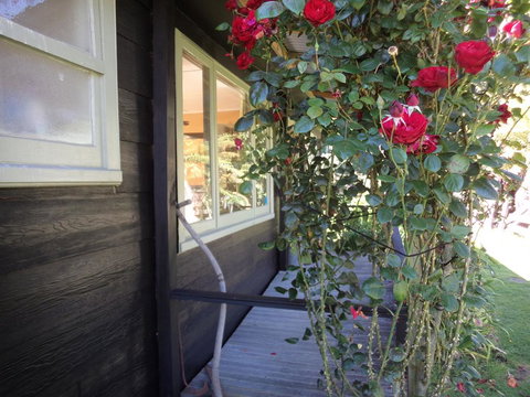 Earthsounds Country Cottage - Tourism Bookings NZ 3