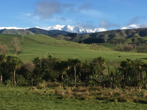 Fallow Hut - Tourism Bookings NZ 3