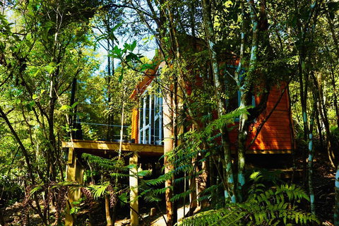 Fantail Bush Chalet - Tourism Bookings NZ 0