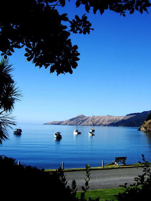French Pass Beachfront Villas - Tourism Bookings NZ 3
