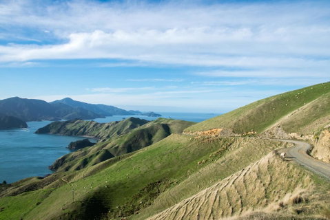 French Pass Beachfront Villas - Tourism Bookings NZ 1