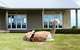 Gallin Farm Alpacas And Farmstay - thumb 0