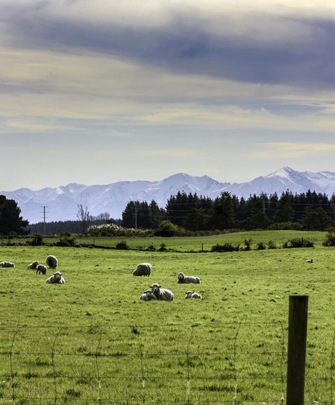 Gem Bed And Breakfast - Tourism Bookings NZ 3