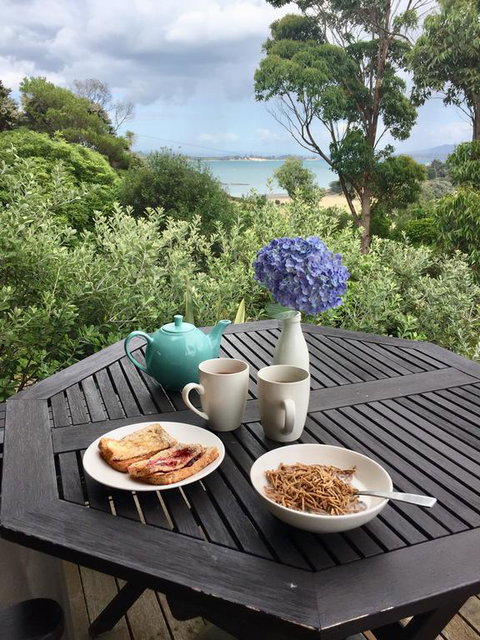 Gorgeous Cabin - Tourism Bookings NZ 3