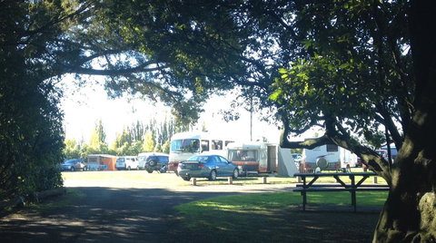Greytown Campground - Tourism Bookings NZ 0