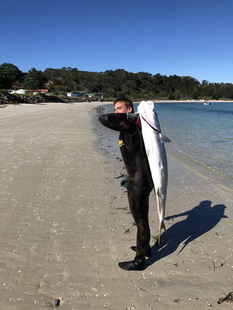 Hahei Beach Bach. - Tourism Bookings NZ 2