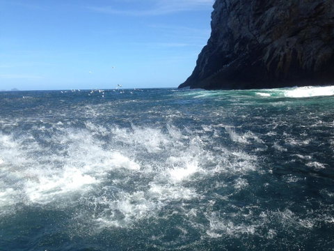 Hahei Beach Bach. - Tourism Bookings NZ 1