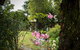 Holland House Bed & Breakfast - thumb 1