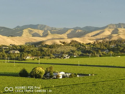 InfinityView B&B - Tourism Bookings NZ 1