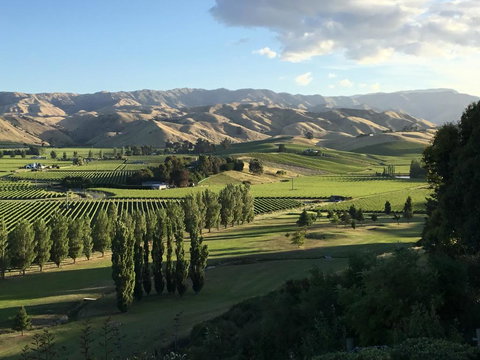 InfinityView B&B - Tourism Bookings NZ 2