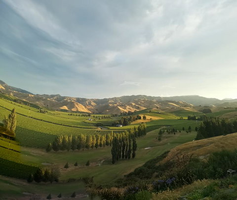 InfinityView B&B - Tourism Bookings NZ 3