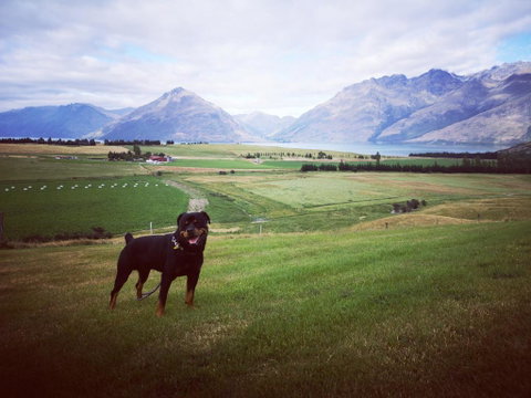 Jacks Point Family Homestay - Tourism Bookings NZ 1