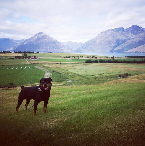 Jacks Point Family Homestay - Tourism Bookings NZ 3