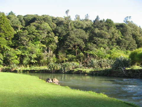 Kauri Coast TOP 10 Holiday Park - Tourism Bookings NZ 0