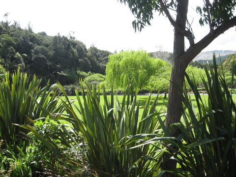 Kauri Coast TOP 10 Holiday Park - Tourism Bookings NZ 3