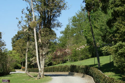 Kourawhero Mountain Lodge - Tourism Bookings NZ 3