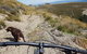 Lake Stella Mountain Huts - thumb 3