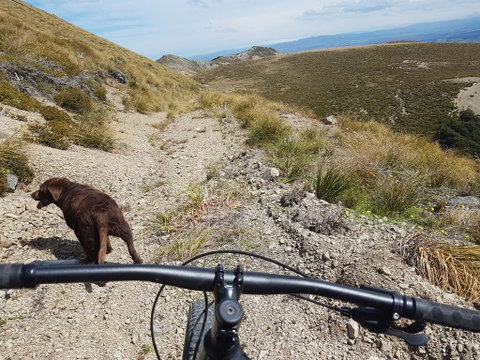 Lake Stella Mountain Huts - Tourism Bookings NZ 3