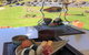 Lake Wanaka Lodge - thumb 3