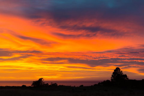Manakau Lodge - Tourism Bookings NZ 2
