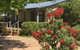 Minffordd Cottage - thumb 2