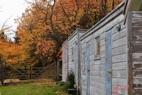 Mount Cook Station Huts - Tourism Bookings NZ 2