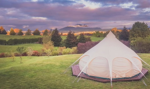MountViews Glamping - Tourism Bookings NZ 3