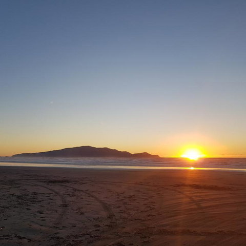 Near The Shore - Tourism Bookings NZ 1