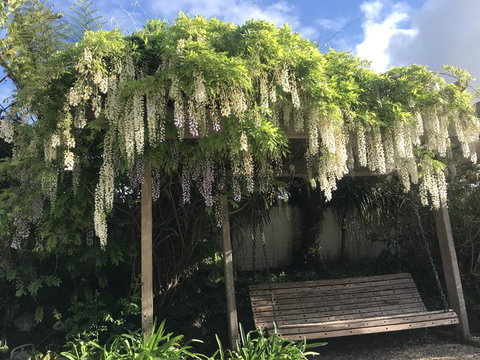 Northridge Country Lodge - Tourism Bookings NZ 1